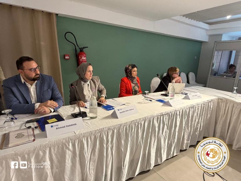 الهيئة واللجنة الدولية 3