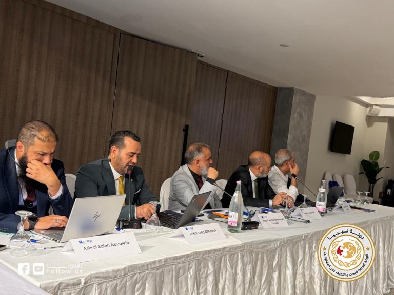 الهيئة واللجنة الدولية 5