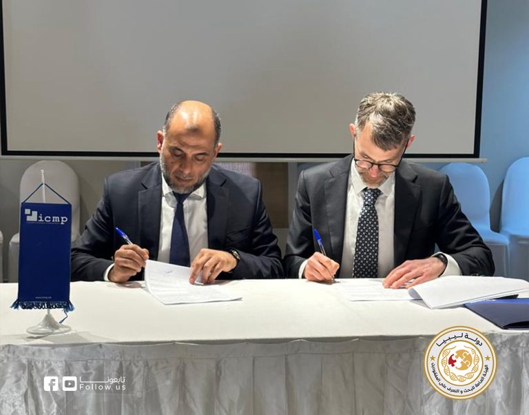 الهيئة واللجنة الدولية 6